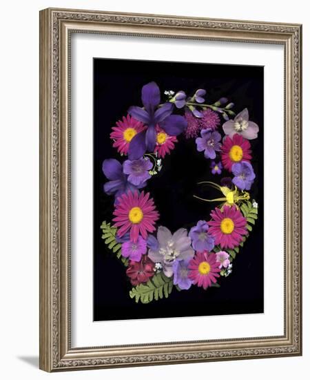 Flower Drama III-Judy Stalus-Framed Photographic Print