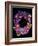 Flower Drama III-Judy Stalus-Framed Photographic Print