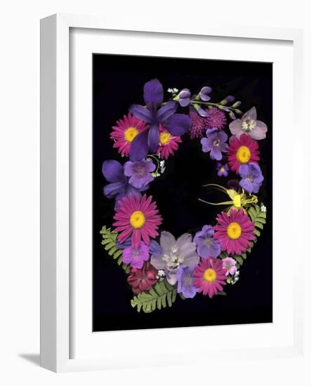 Flower Drama III-Judy Stalus-Framed Photographic Print
