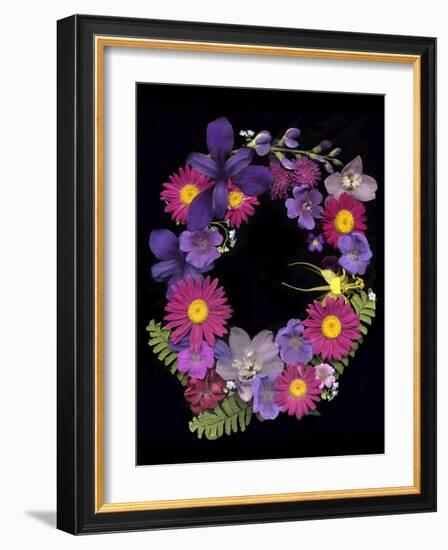 Flower Drama III-Judy Stalus-Framed Photographic Print