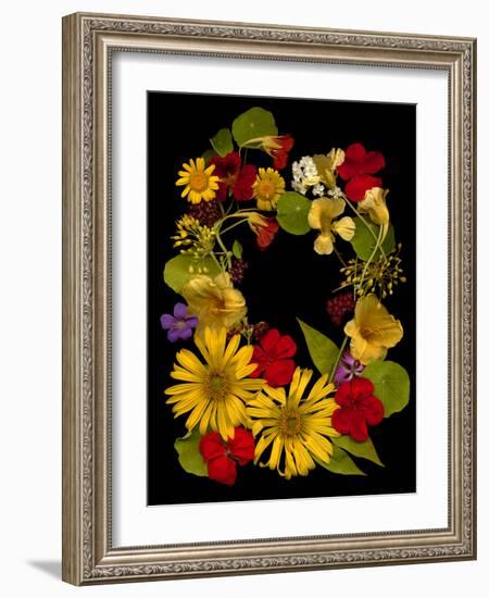 Flower Drama IX-Judy Stalus-Framed Photographic Print