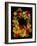 Flower Drama IX-Judy Stalus-Framed Photographic Print