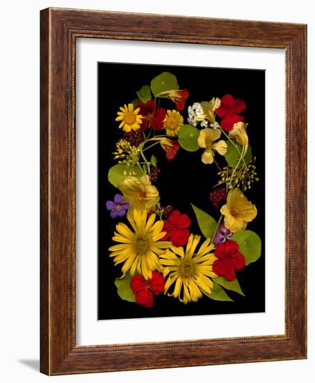Flower Drama IX-Judy Stalus-Framed Photographic Print