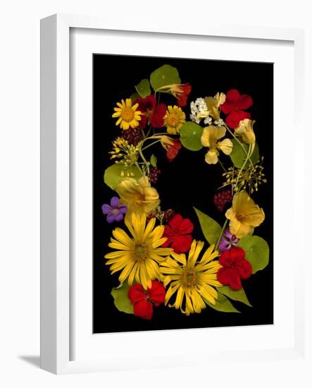 Flower Drama IX-Judy Stalus-Framed Photographic Print