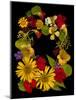 Flower Drama IX-Judy Stalus-Mounted Photographic Print