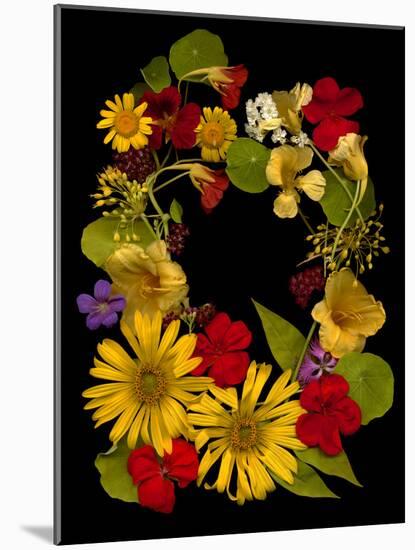 Flower Drama IX-Judy Stalus-Mounted Photographic Print