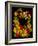 Flower Drama IX-Judy Stalus-Framed Photographic Print