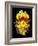 Flower Drama V-Judy Stalus-Framed Photographic Print