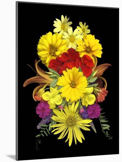 Flower Drama V-Judy Stalus-Mounted Photographic Print