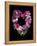 Flower Drama VI-Judy Stalus-Framed Premier Image Canvas