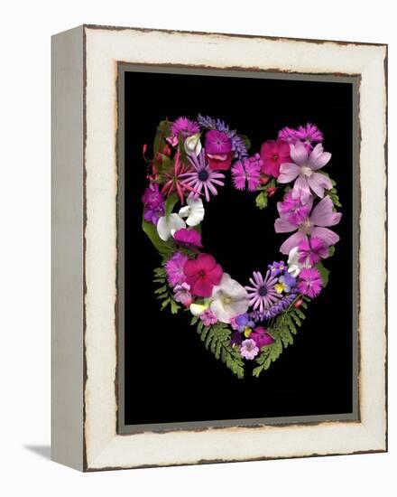 Flower Drama VI-Judy Stalus-Framed Premier Image Canvas