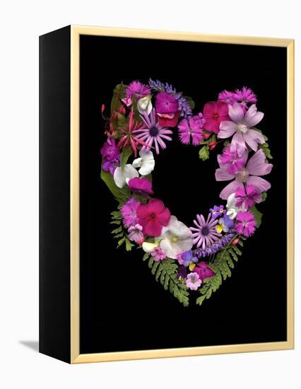 Flower Drama VI-Judy Stalus-Framed Premier Image Canvas