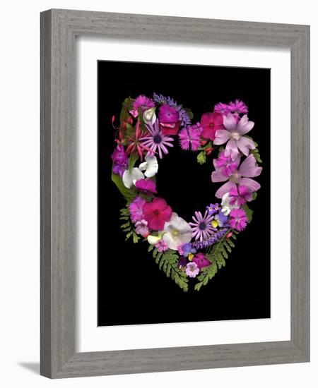 Flower Drama VI-Judy Stalus-Framed Photographic Print