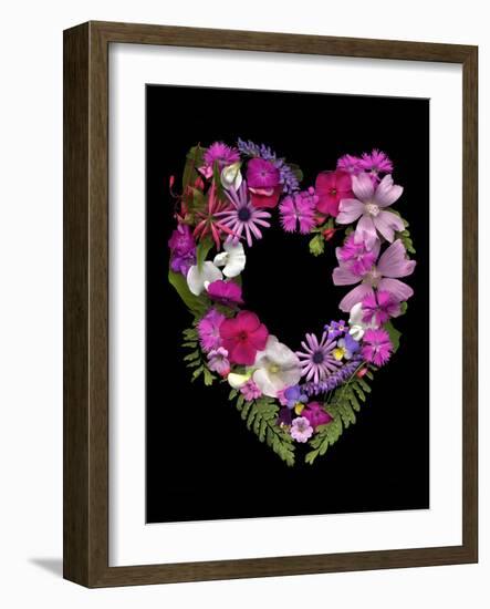 Flower Drama VI-Judy Stalus-Framed Photographic Print