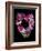 Flower Drama VI-Judy Stalus-Framed Photographic Print