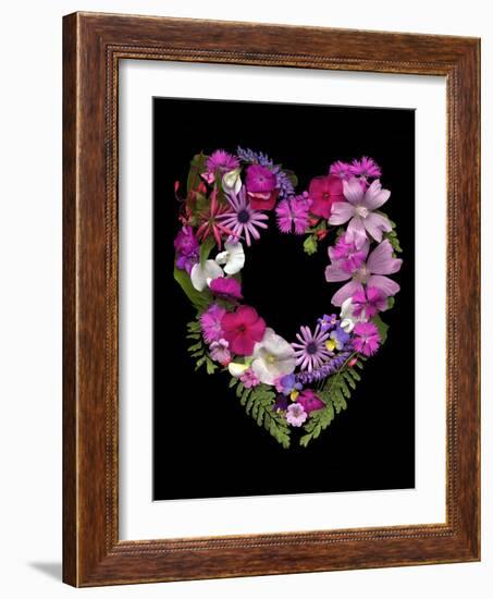 Flower Drama VI-Judy Stalus-Framed Photographic Print