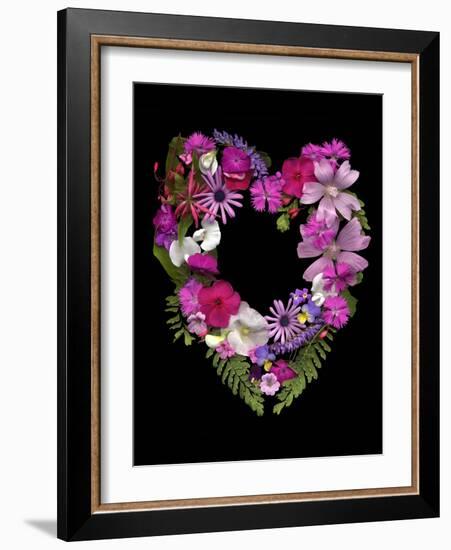 Flower Drama VI-Judy Stalus-Framed Photographic Print