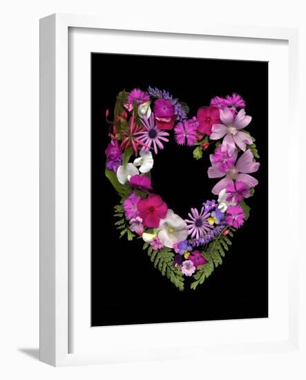 Flower Drama VI-Judy Stalus-Framed Photographic Print