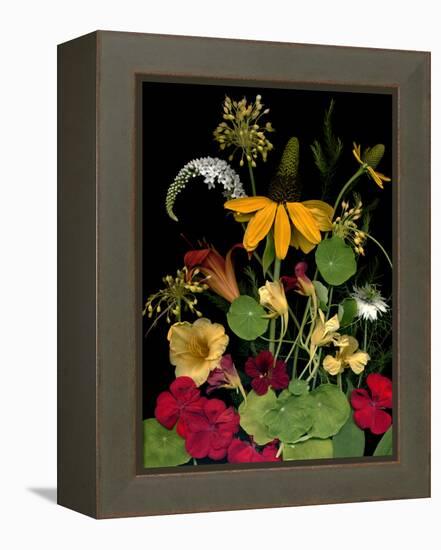 Flower Drama VII-Judy Stalus-Framed Premier Image Canvas