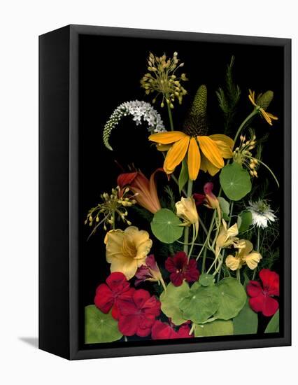 Flower Drama VII-Judy Stalus-Framed Premier Image Canvas