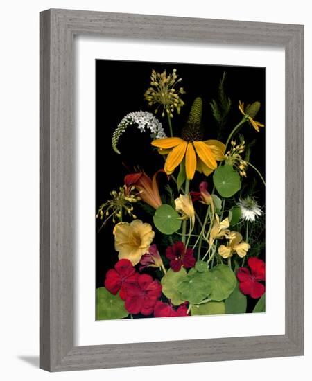 Flower Drama VII-Judy Stalus-Framed Photographic Print