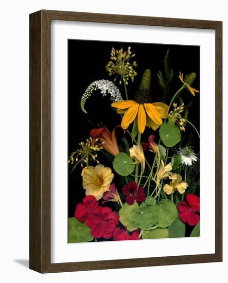 Flower Drama VII-Judy Stalus-Framed Photographic Print