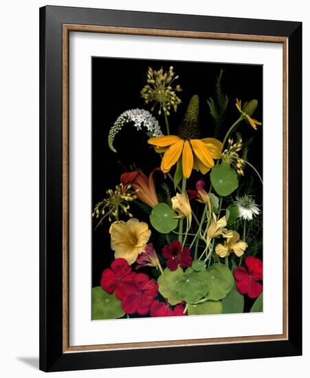 Flower Drama VII-Judy Stalus-Framed Photographic Print