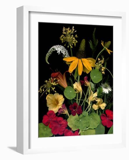 Flower Drama VII-Judy Stalus-Framed Photographic Print