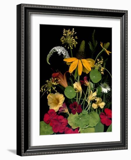 Flower Drama VII-Judy Stalus-Framed Photographic Print