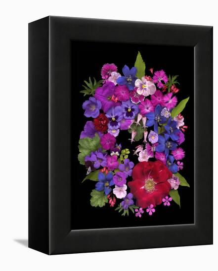 Flower Drama VIII-Judy Stalus-Framed Premier Image Canvas