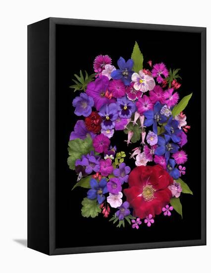 Flower Drama VIII-Judy Stalus-Framed Premier Image Canvas