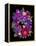 Flower Drama VIII-Judy Stalus-Framed Premier Image Canvas