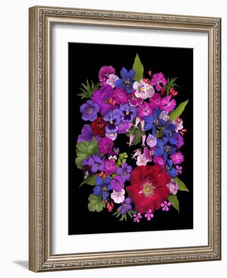 Flower Drama VIII-Judy Stalus-Framed Photographic Print