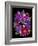 Flower Drama VIII-Judy Stalus-Framed Photographic Print