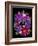 Flower Drama VIII-Judy Stalus-Framed Photographic Print