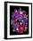 Flower Drama VIII-Judy Stalus-Framed Photographic Print