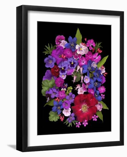 Flower Drama VIII-Judy Stalus-Framed Photographic Print