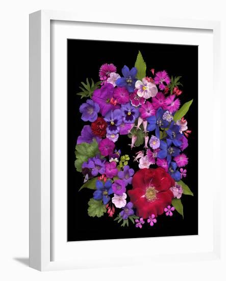 Flower Drama VIII-Judy Stalus-Framed Photographic Print