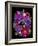 Flower Drama VIII-Judy Stalus-Framed Photographic Print