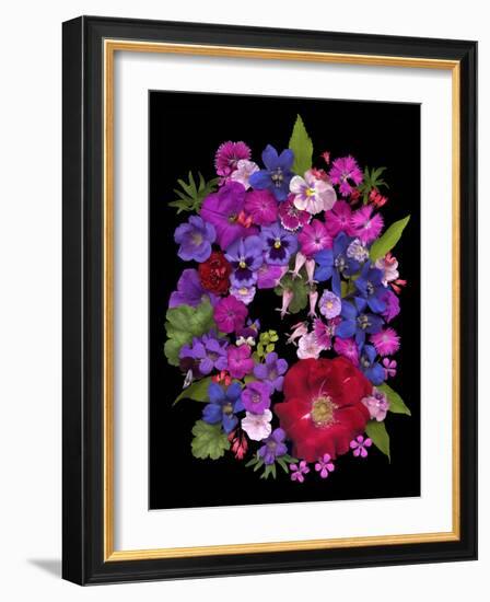 Flower Drama VIII-Judy Stalus-Framed Photographic Print