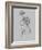 Flower Drawing III-Jasmine Woods-Framed Art Print