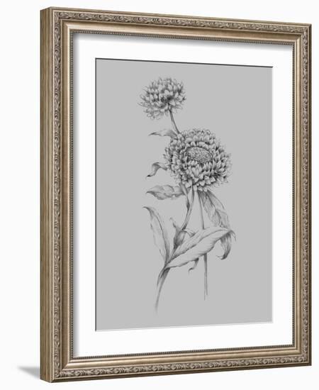 Flower Drawing III-Jasmine Woods-Framed Art Print