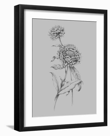 Flower Drawing III-Jasmine Woods-Framed Art Print