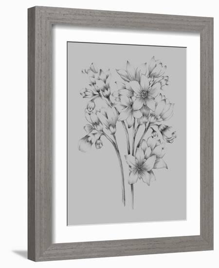 Flower Drawing-Jasmine Woods-Framed Art Print