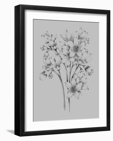 Flower Drawing-Jasmine Woods-Framed Art Print