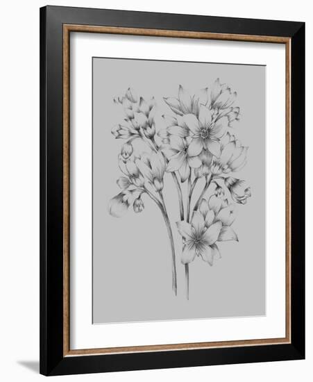 Flower Drawing-Jasmine Woods-Framed Art Print