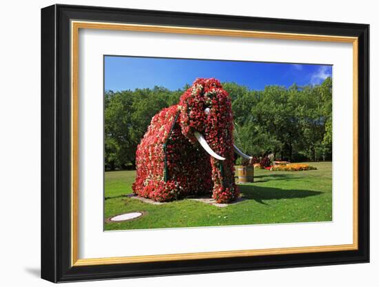 Flower Elephant in Maximilianpark, Hamm, North Rhine-Westphalia, Germany-null-Framed Art Print