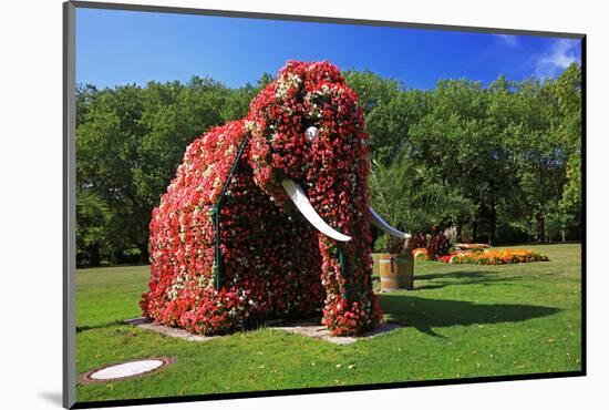 Flower Elephant in Maximilianpark, Hamm, North Rhine-Westphalia, Germany-null-Mounted Art Print