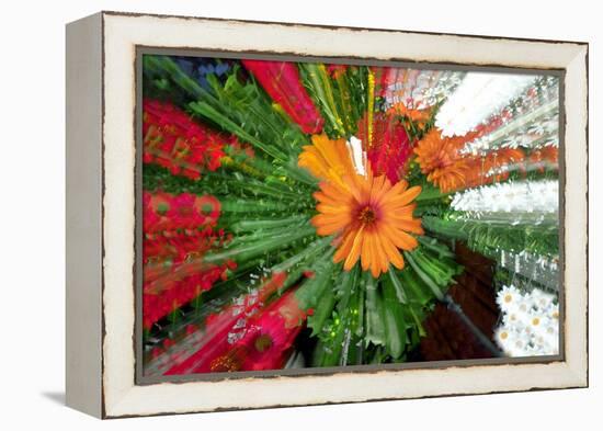 Flower explosion-Heidi Westum-Framed Premier Image Canvas