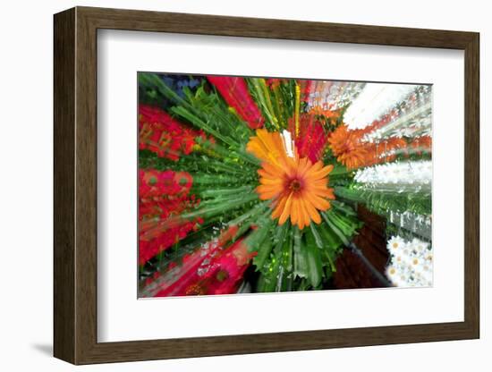 Flower explosion-Heidi Westum-Framed Photographic Print